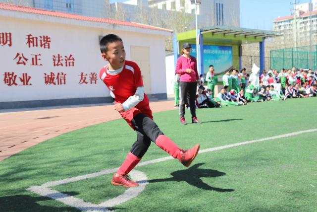 国乒3-0击败中国台北，三大亮点引发球迷热议